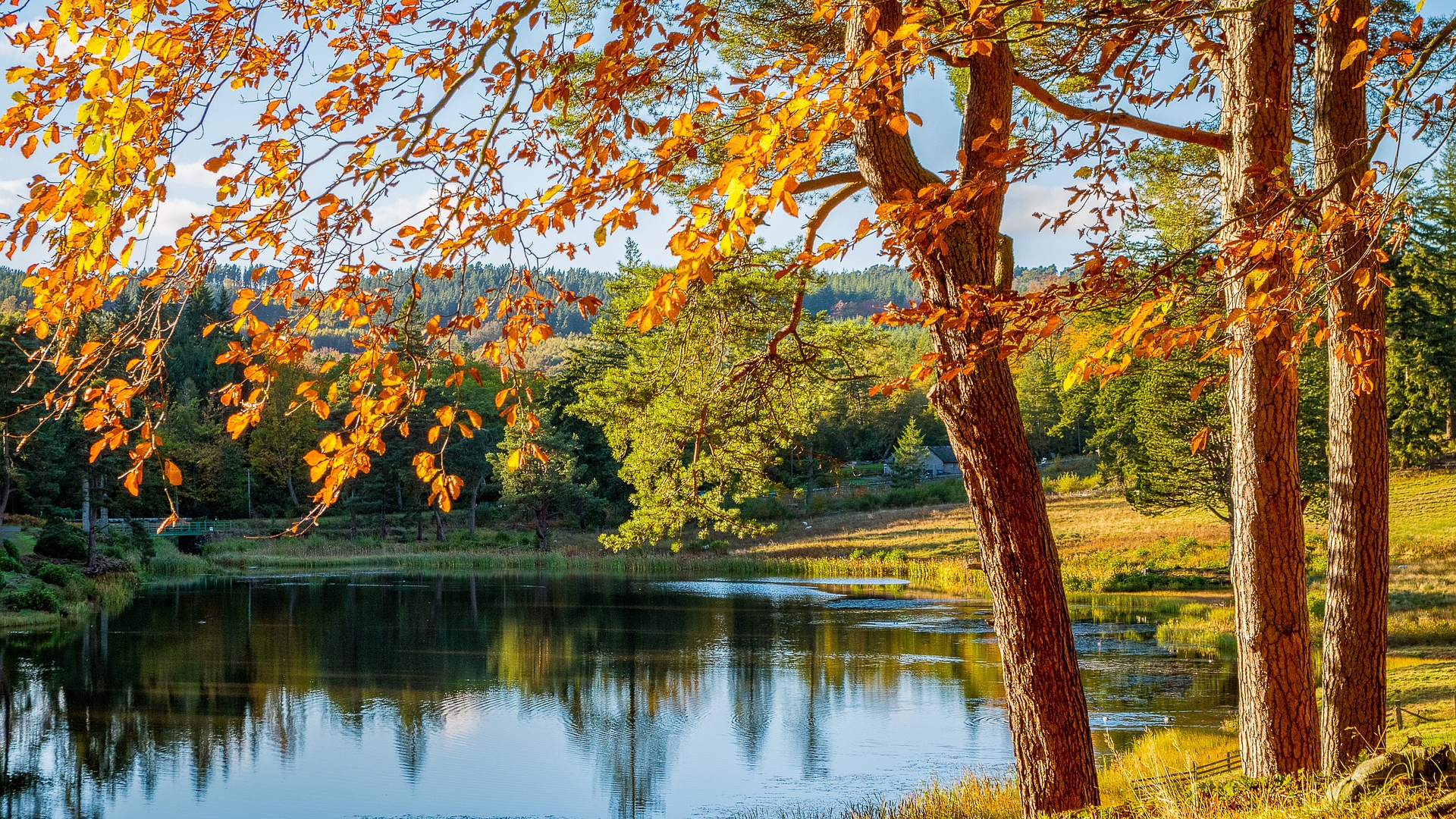 Indian Summer Days