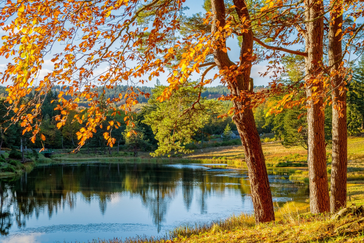 Indian Summer Days